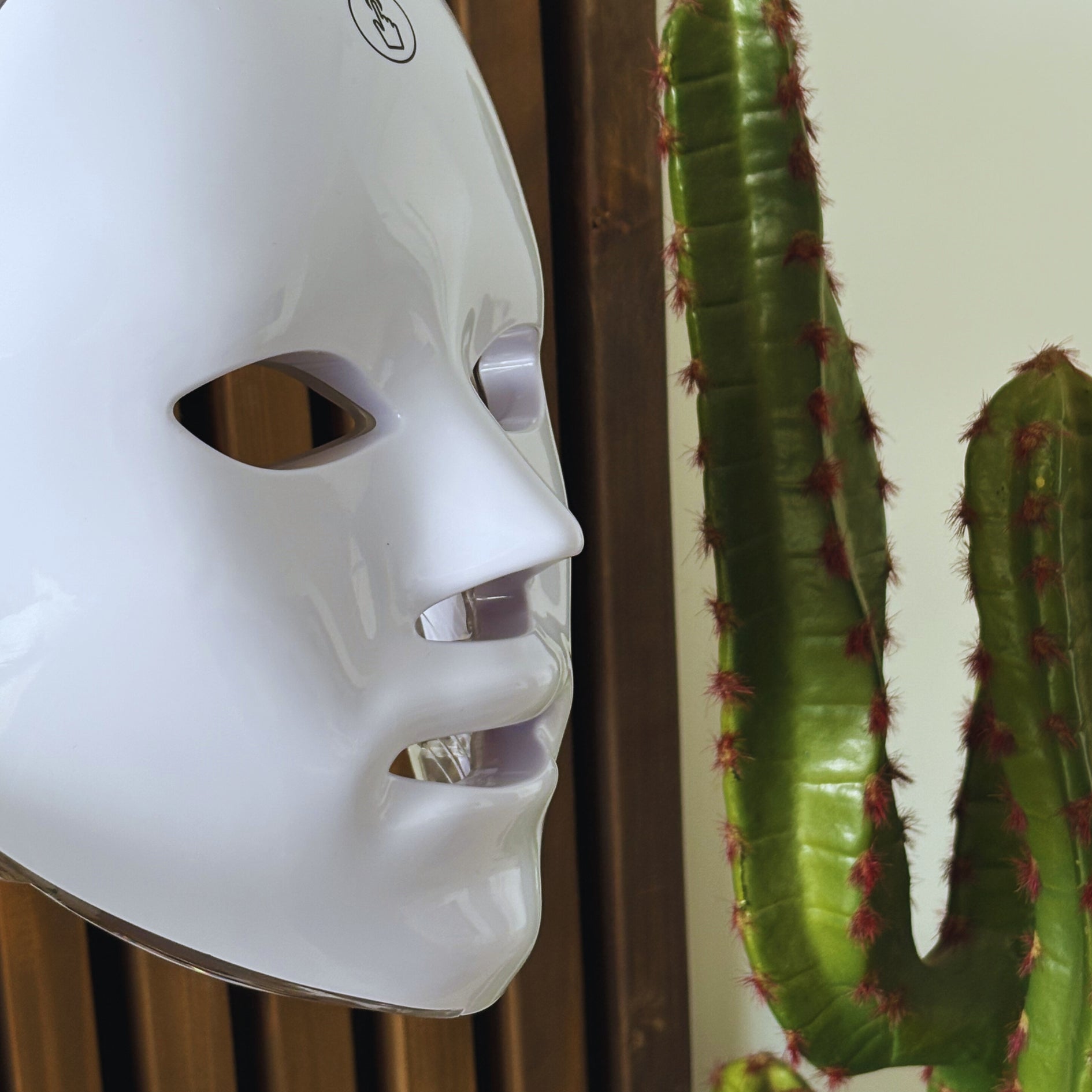 7-Color LED Facial Mask