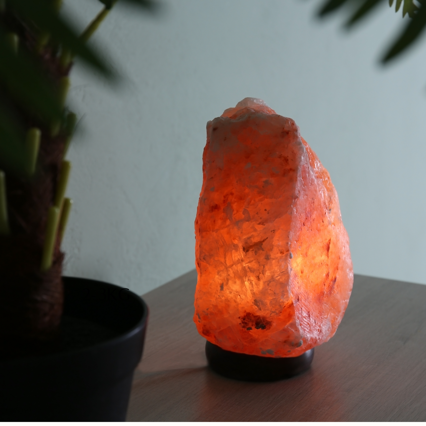 Himalayan Salt Lamp